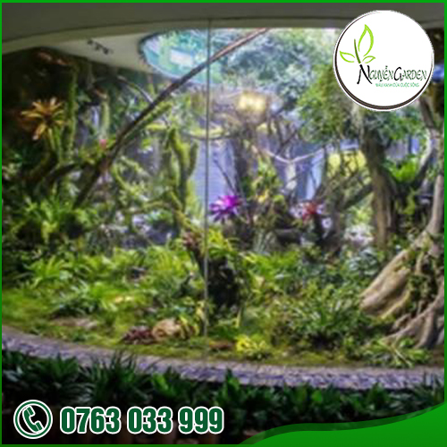 Thiết Kế, Thi Công Paludarium