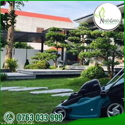 CÔNG TY TNHH TM DV NGUYỄN GARDEN